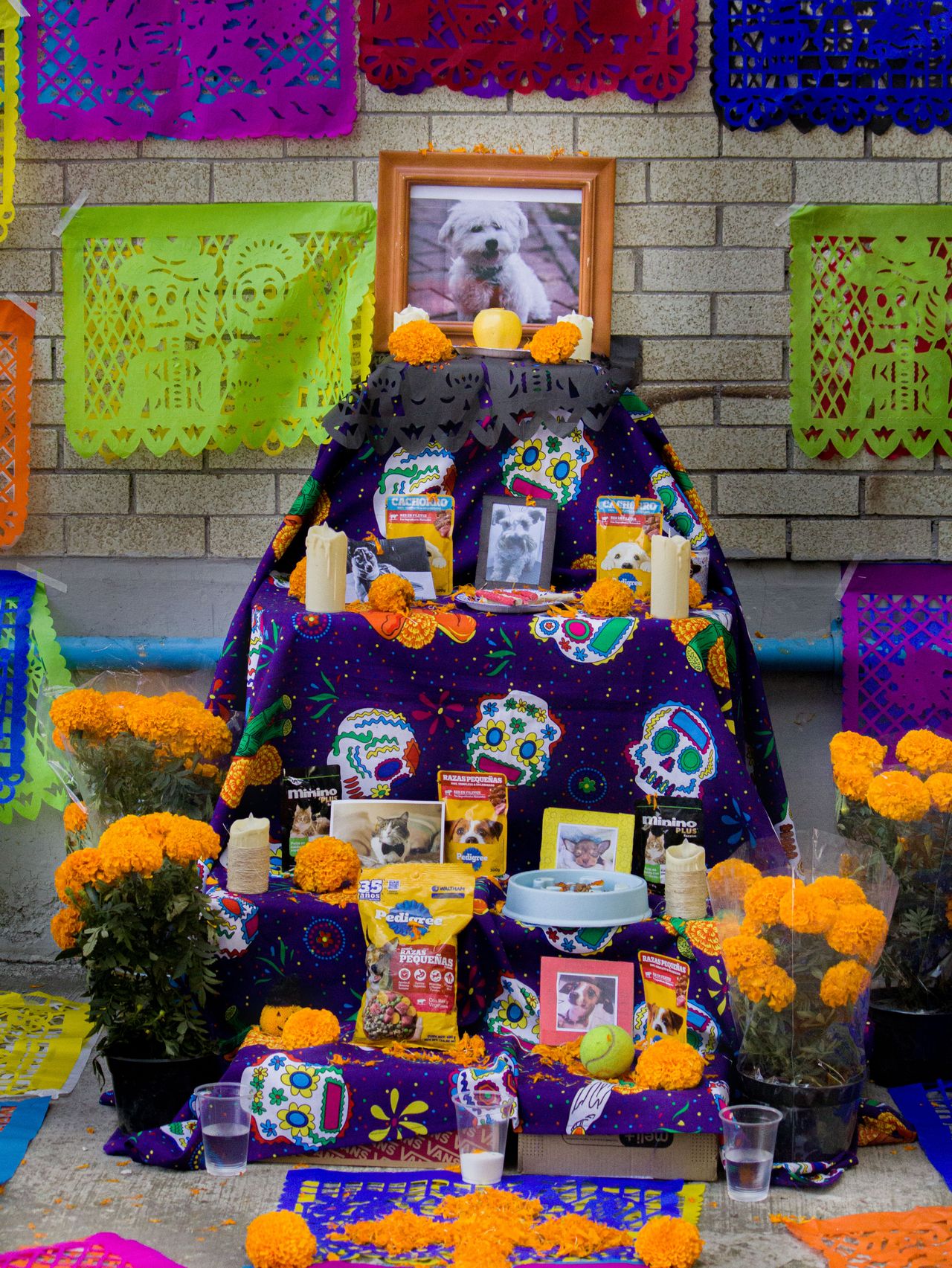 Bàn thờ Día de Muertos với hoa cúc vạn thọ và giấy cắt hoa văn ở Mexico City